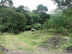 image004