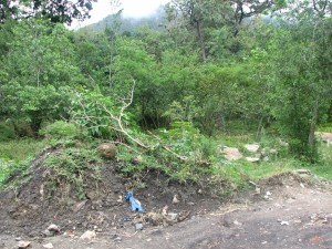 image005