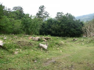 image011