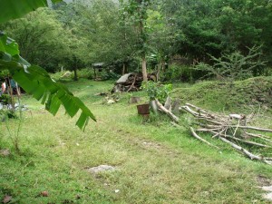 image013