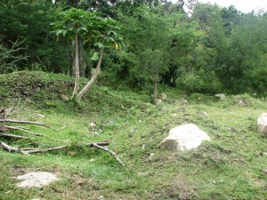 image015